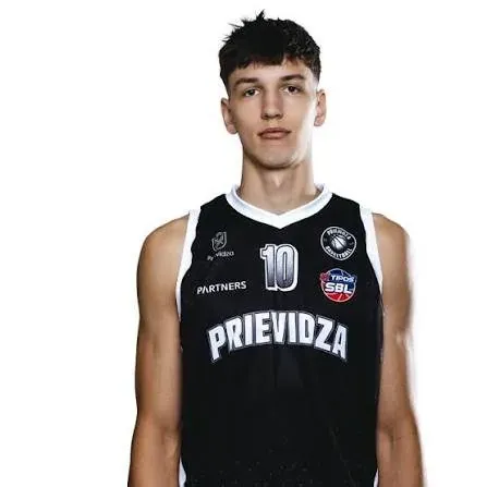 David Novák